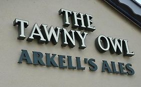The Tawny Owl